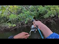 Download Lagu Sungguh Rejeki tak terduga Bisa Dapat banyak kakap di sungai kecil ini