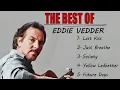 Download Lagu The Best of Eddie Vedder