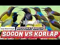 Download Lagu PIKAT SOGON VS KORLAP RiBUT UNTUK BURUNG YANG SUSAH TURUN