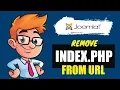 How To Remove Index php From 4 URL