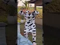 Download Lagu The Crazy Girl and the Hot Cowboy #clips #funny #funnyvideo #epic #girl #crazy #cute #cowboys