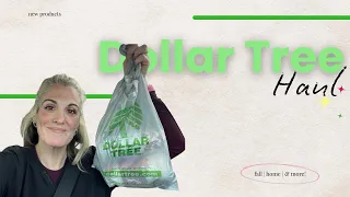 Dollar Tree Haul sad day