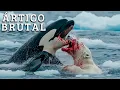 Download Lagu O ÁRTICO É BRUTAL l Vida Selvagem, Natureza Implacável e Sobrevivência - DOCUMENTÁRIO COMPLETO