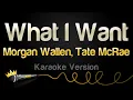 Download Lagu Morgan Wallen, Tate McRae - What I Want (Karaoke Version)