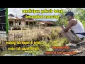 Download Lagu ALHAMDULILLAH ... MASIH DI BERI PERINGATAN || SENDIRIPUN PAKCIK TETAP PERGI MEMANCING