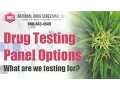 The Different Drug Testing Panels And What They Screen For
