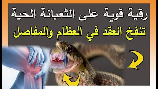 رقية لفك عقد التابعة في العظام والمفاصل الراقي أحمد السوسي Ruqyay 