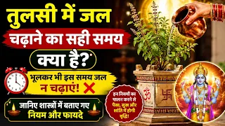 तुलसी में जल कब चढ़ाना चाहिए? 99% लोग करते हैं गलती!