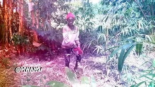 year of return by sarkodie afro dance cover by team cool zaggers dancing army