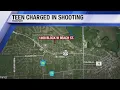 Freeport teen arrested for shooting at brother