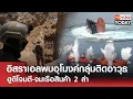 Download Lagu อิสราเอลพบอุโมงค์กลุ่มติดอาวุธ ฮูตีโจมตี-จมเรือสินค้า 2 ลำ l TNN World Today l 10-07-68