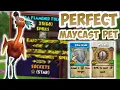 I MADE THE BEST MAY CAST PET IN WIZARD101