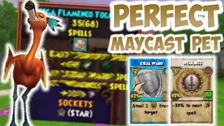I MADE THE BEST MAY CAST PET IN WIZARD101
