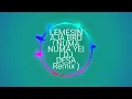 Lemesin aja bro ! numa numa DJ desa remix