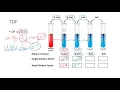 Determining the Total Dilution Factor