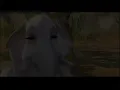 ZANCO L'ELEFANTE BIANCO