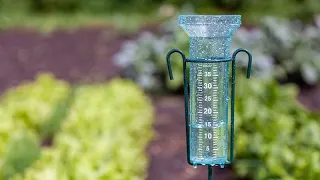 How to Measure a Rainfall General Knowledge Questions and Answers