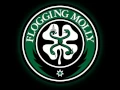 Download Lagu Flogging Molly - To Youth (My Sweet Roisin Dubh) (HQ) + Lyrics