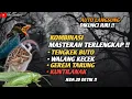 Lagu KOMBINASI MASTERAN TERLENGKAP !!TEMBAKAN TENGKEK BUTO, WALANG KECEK, GEREJA TARUNG, DAN KUNTILANAK 