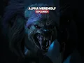 Download Lagu Wednesday Alpha Werewolf EXPLAINED‼️
