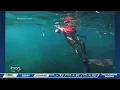 New snorkel tours offer up-close view of protected San Marcos springs