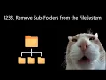 1233 Remove Sub-Folders from the Filesystem