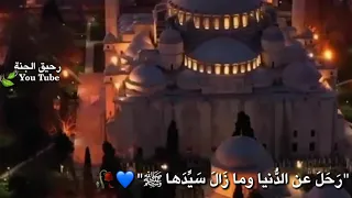 انشودة اني احب محمدا   حالات وتس اب اناشيد اسلامية  دندنها