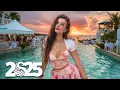 Download Lagu The Weeknd, Alan Walker, Adele ⛅ Tropical Beats 🍹 Best Chill Vocal Summer Mix 2025