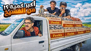 لما نبيع أكبر كمية فسيخ في الشارع يوم شم النسيم                      اوتاكا  دندنها