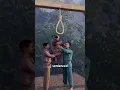 Download Lagu The Pig That Stood Trial for Murder