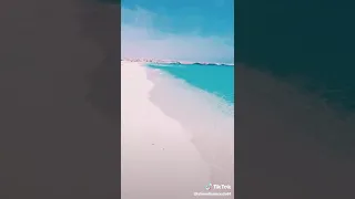 كلمت بحبك مش كفايه     دندنها