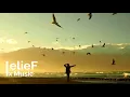 DeeB - Speak In Colours feat - Shuffling