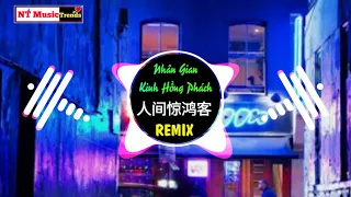 Download 叶里 - 人间惊鸿客 (DJ沈念版) Nhân Gian Kinh Hồng Khách Remix - Diệp Lý || China Mix New Song【抖音】 MP3