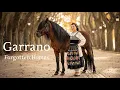 Download Lagu The Garrano horse from Portugal | Explore Forgotten Horses