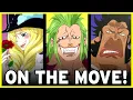 Where Are They Now The Straw Hat Grand Fleet Grand Line Review