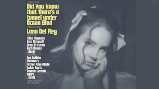 Lana Del Rey - Let The Light In - ft  Father John Misty