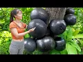 Download Lagu Harvesting Many Jackfruit ( Mít Mít ) Goes To The Market Sell, Farm Life - Harvest Fruit