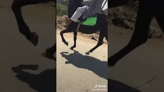 اغنيه محمد رمضان انت جدع دندنها