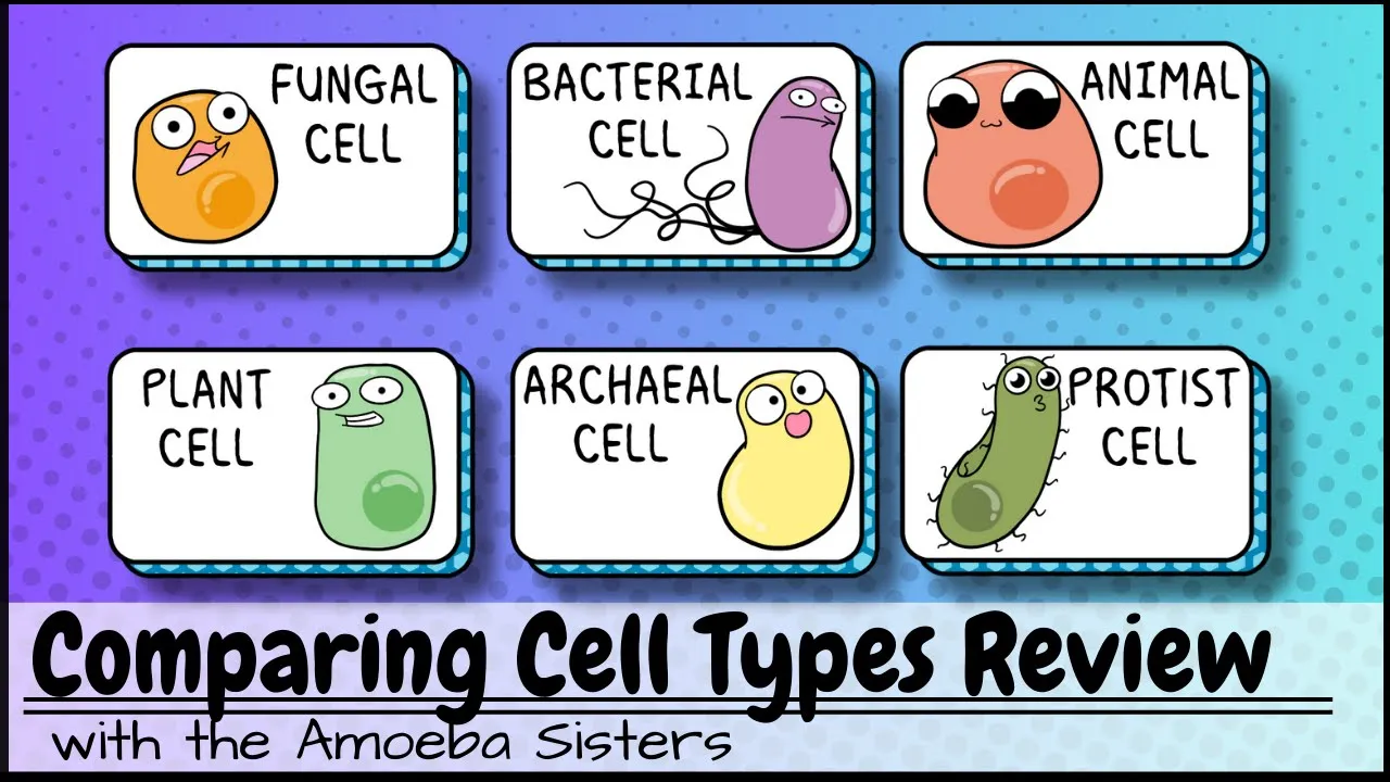 Amoeba Sisters channel featured image