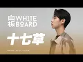 WhiteBoard ｜十七草