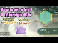 How to get a LEGIT foreign 6 IV Ditto in Pokemon Let s Go Pikachu Eevee