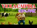 Download Lagu 🎻A VIOLA CAIPIRA É 100% RAIZ - O MODÃO DE VIOLA CAIPIRA É  NOSSO - O Som da Roça está Vivo