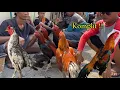 Download Lagu Pasar pedan tetap komplit meski dihari weekday ada ekor lidi semprang ada bulbi dan jragem bosku