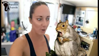 Did Someone Say Squirrel?? Barefoot Gets a Makeover: Part 2 (S4 E34)