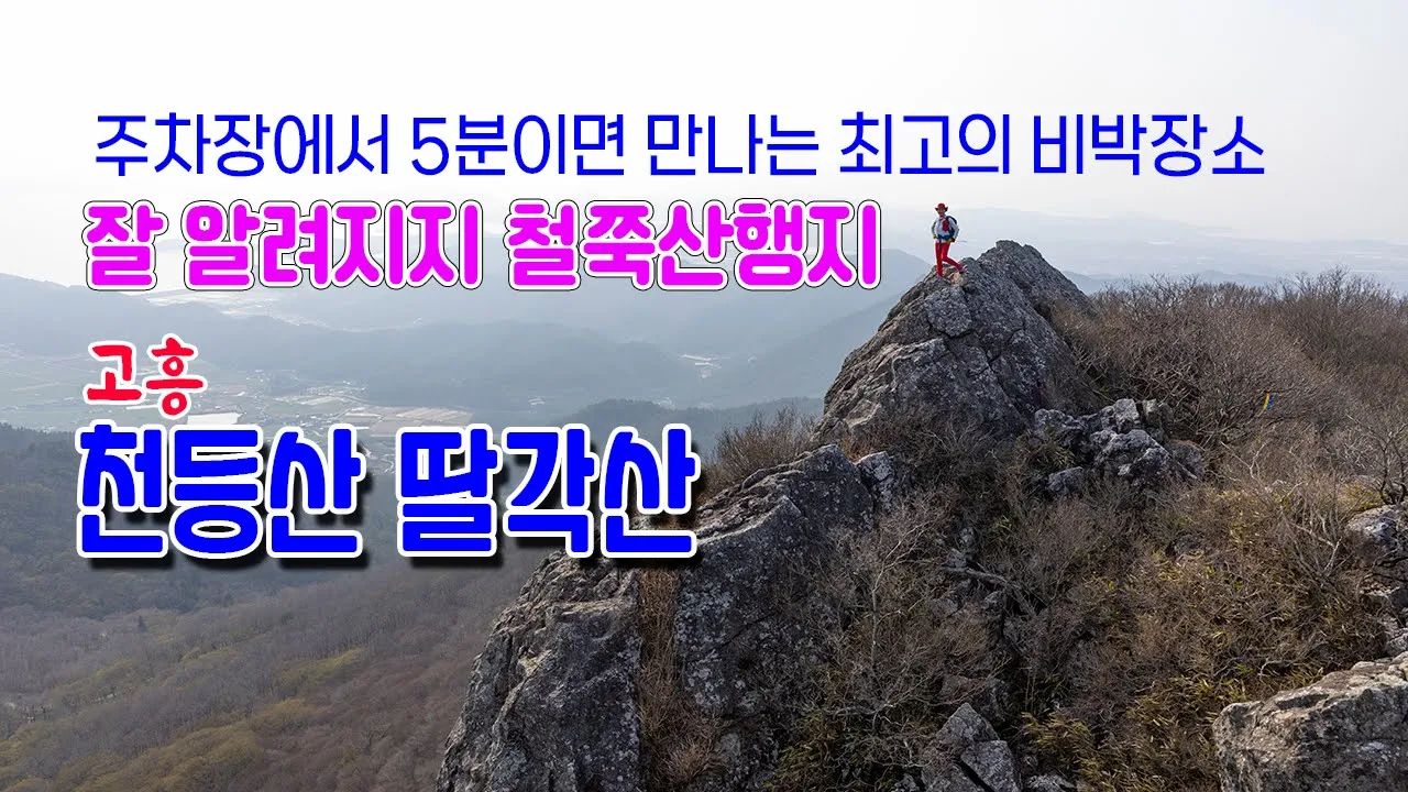 최고의 뷰 비박도 가능한 알려지지않은 철쭉산행지 천등산 딸각산 #고흥천등산 #고흥딸각산 #최고의비박장소#철쭉산행지추천 썸네일