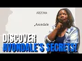 Moving to Avondale AZ Full Map Tour Suburbs Guide Living in Phoenix Arizona