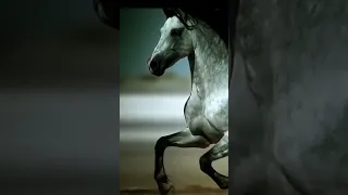 ورده مين دا اللي ياخدني منك 