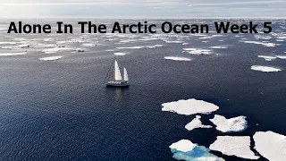 Alone In The Arctic Ocean Week 5