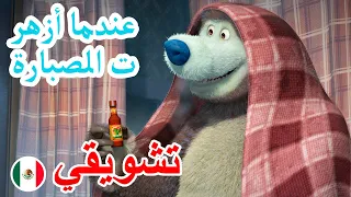 9 فبراير القادم ماشا والدب عندما أزهرت الصبارة مقتطفات 