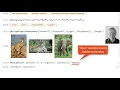 Wolfram Language Programming with Natural Language Input